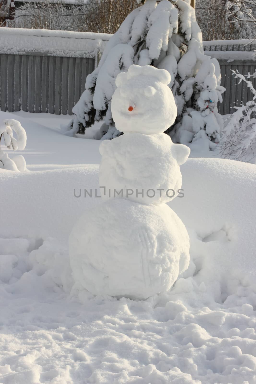 Large snowman with a carrot nose from.  by Metanna