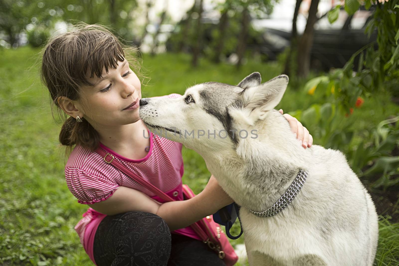 The girl wants to kiss the dog.