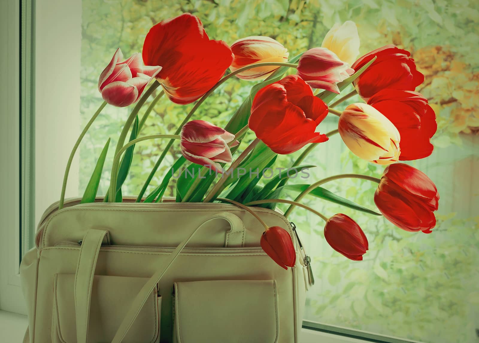 Flowers tulips and a women bag on a window window sill. by georgina198