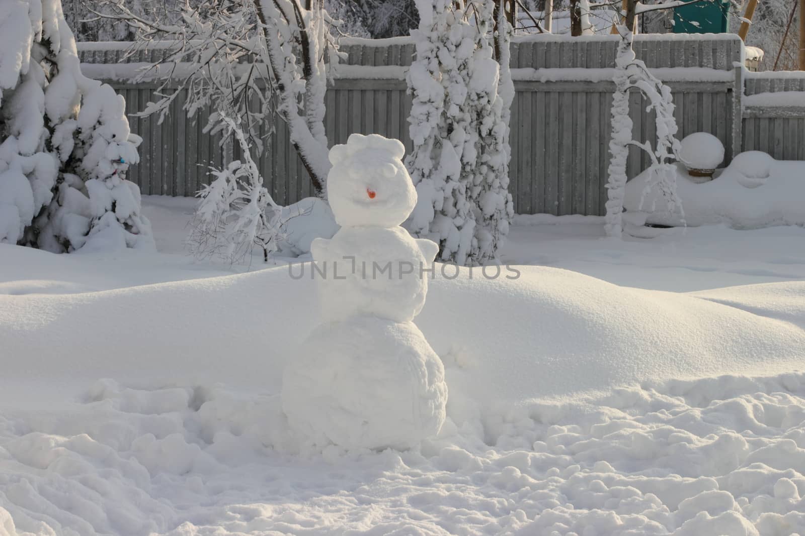 Large snowman with a carrot nose from. snowy winter