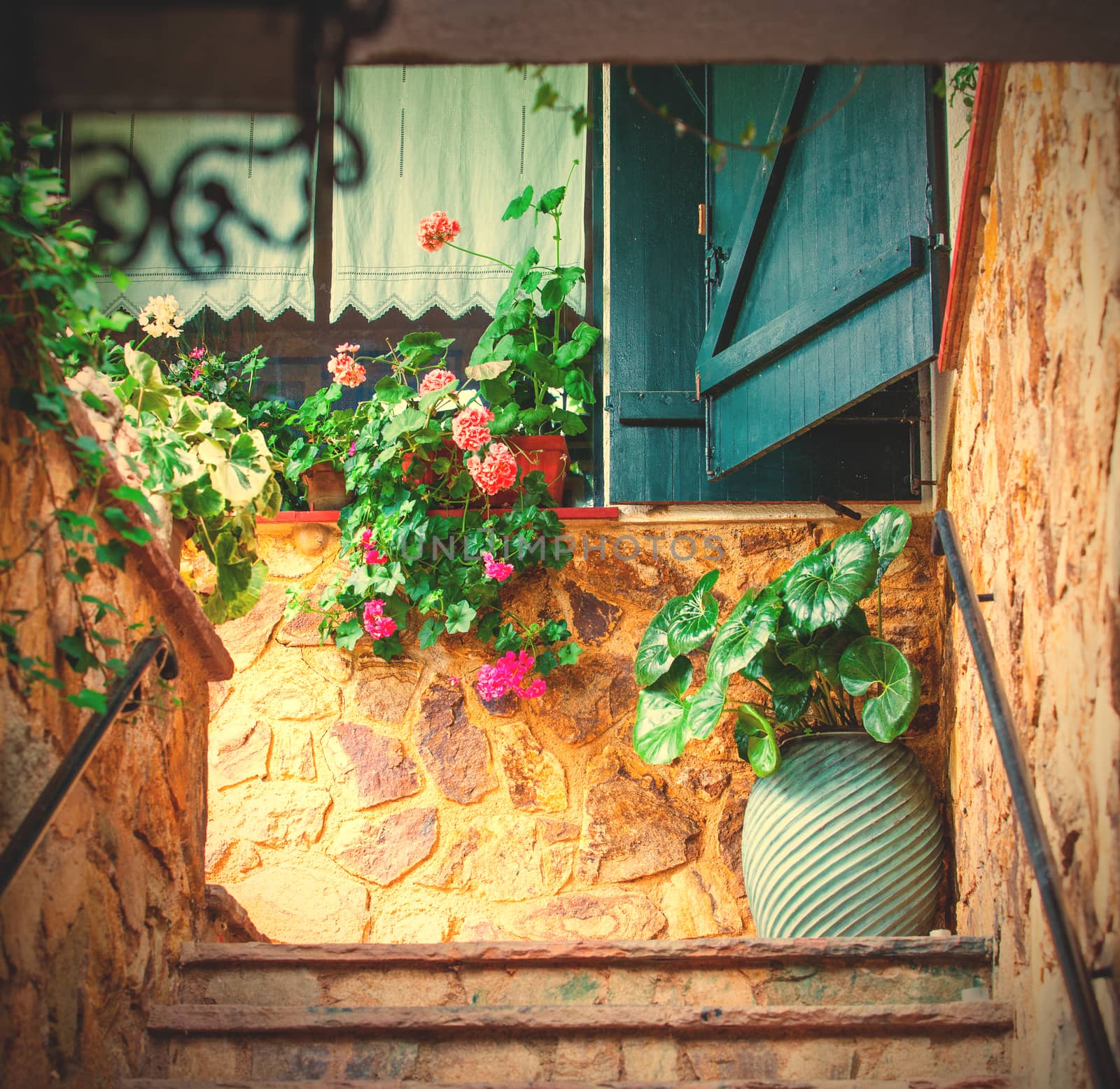 interior patio with flowers on the Mediterranean coast. instagram image style