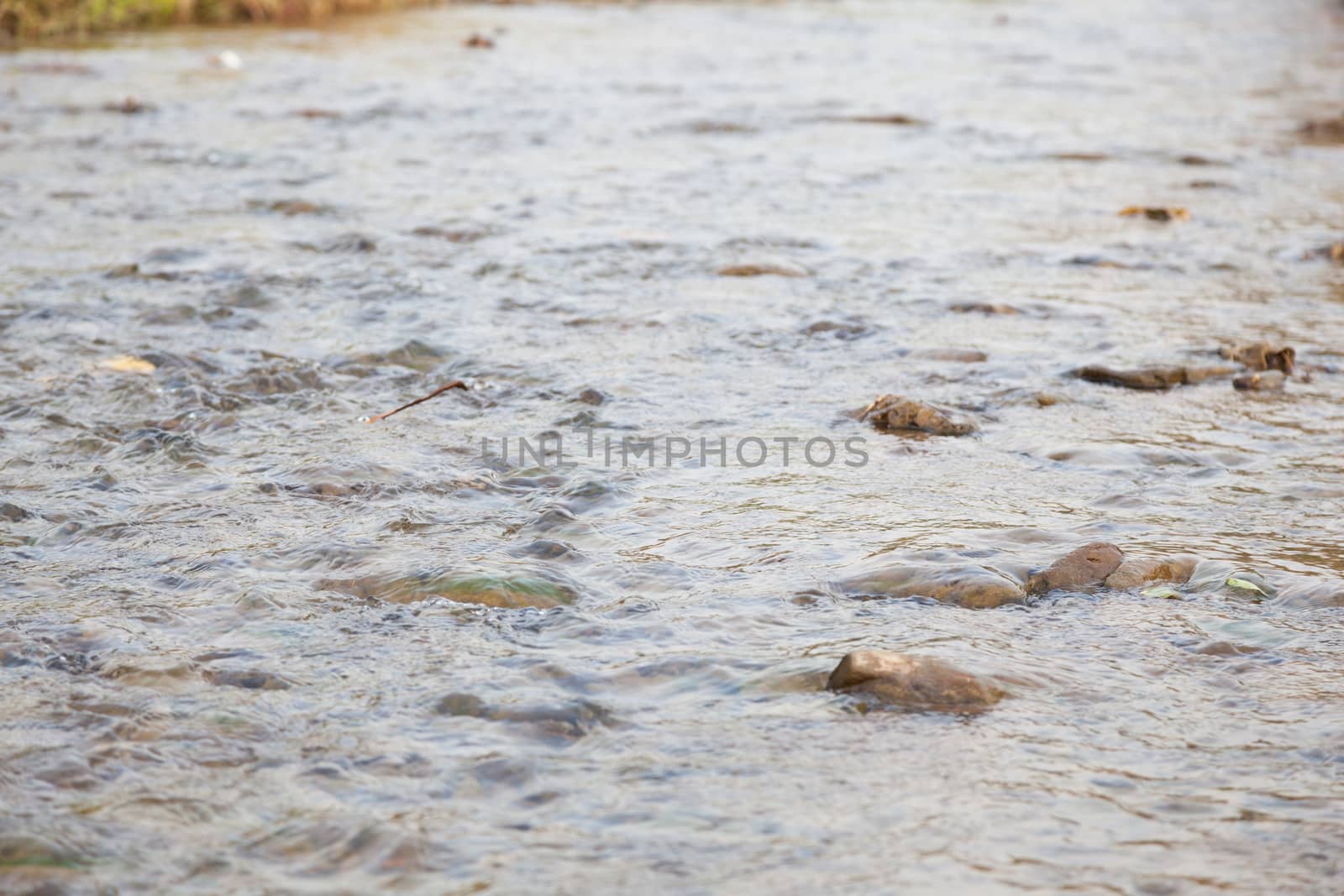 River that flows down from the forest. Through streams with small stones in the river.