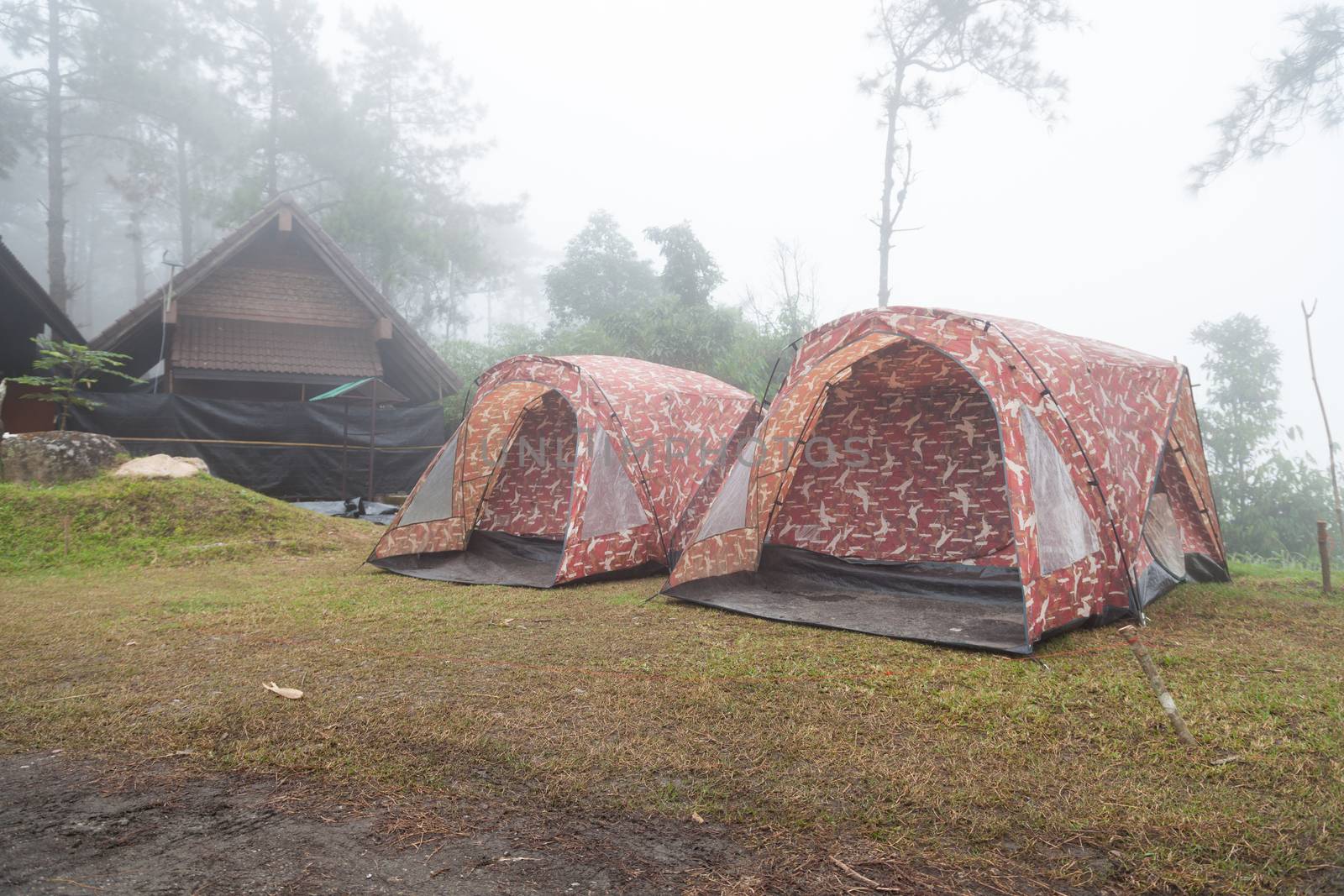 Tent on the lawn. Fog in the morning on a cold day. With trees behind the mountains.