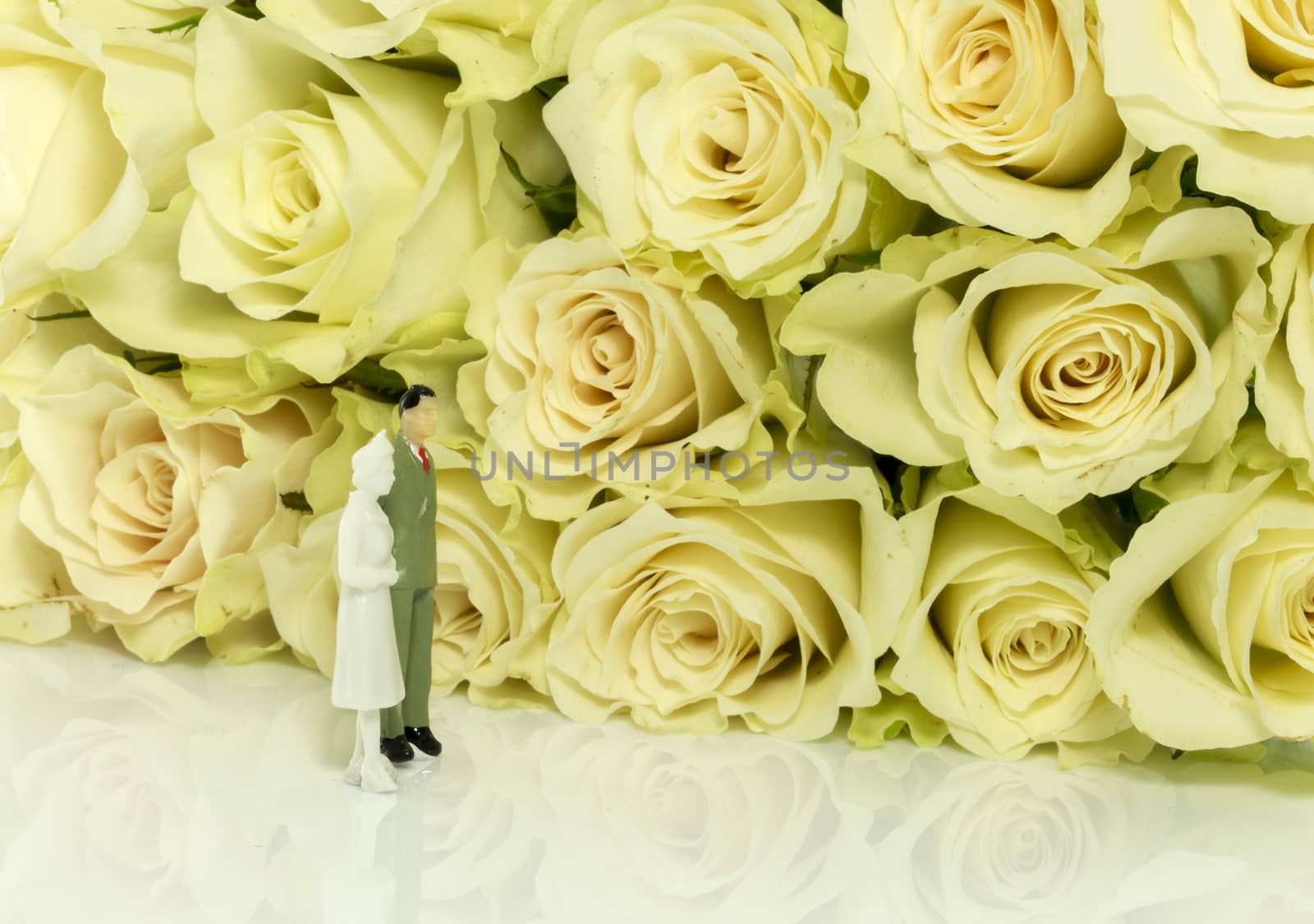 couple looking for white roses by compuinfoto