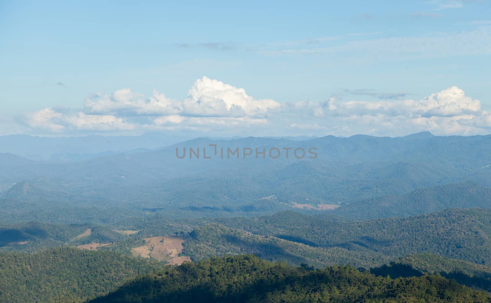 Forested mountains and sky. Luxuriant trees of the forest-covered mountains. The sky is clearing up.