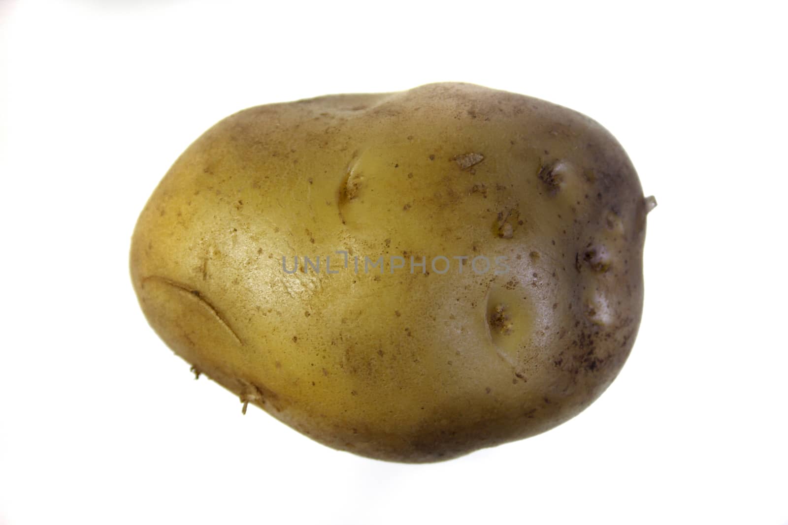 raw potato, Solanum tuberosum L by yands