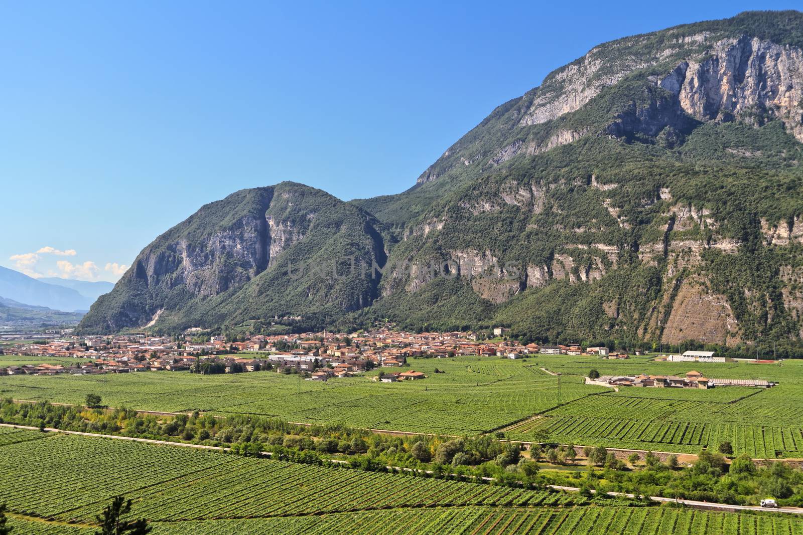 Mezzolombardo and Adige valley by antonioscarpi