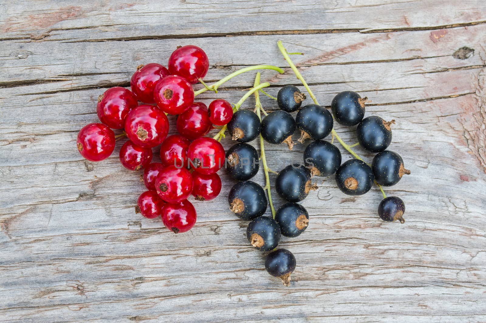 Red and black currant on the old wooden table