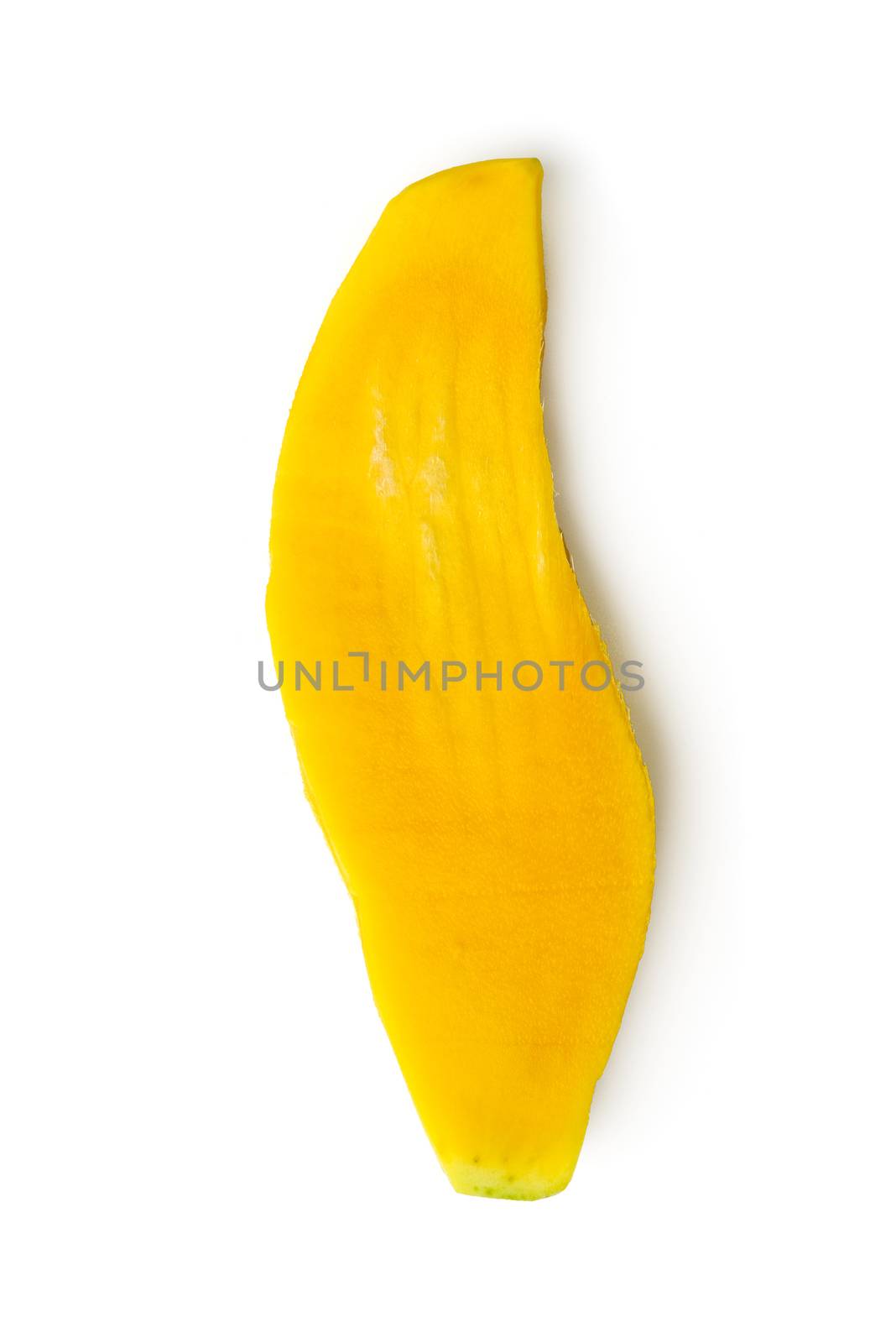 mango seed by antpkr