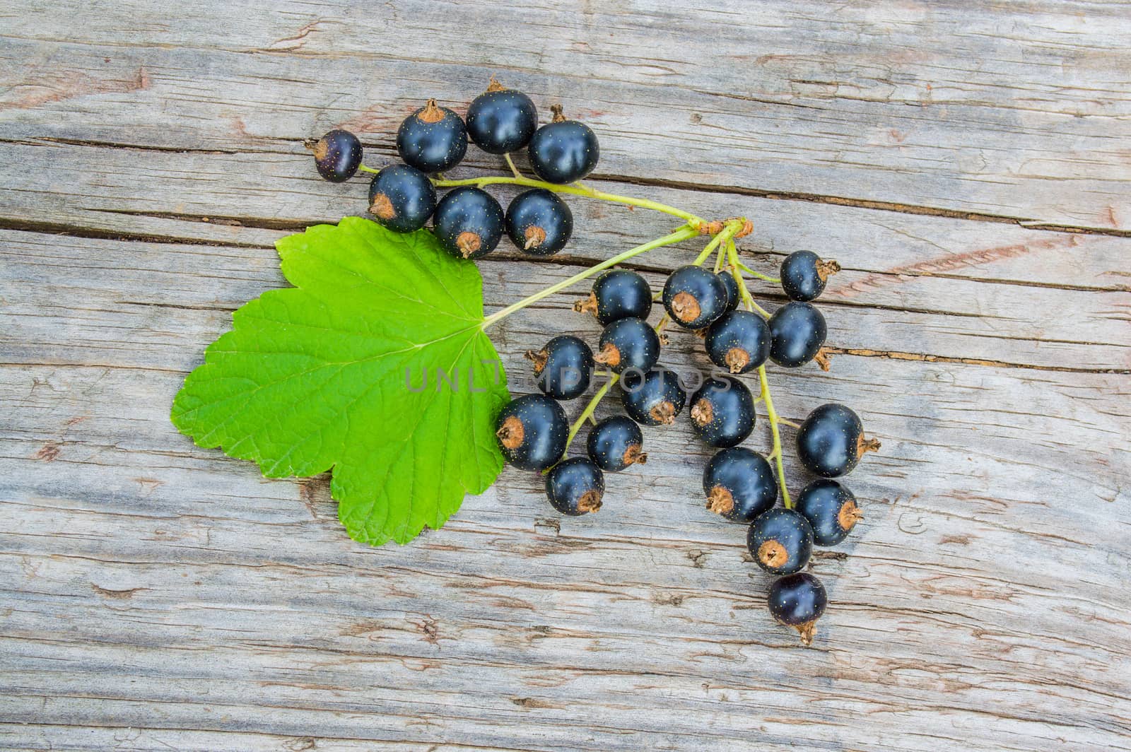 Black currant on the old wooden table