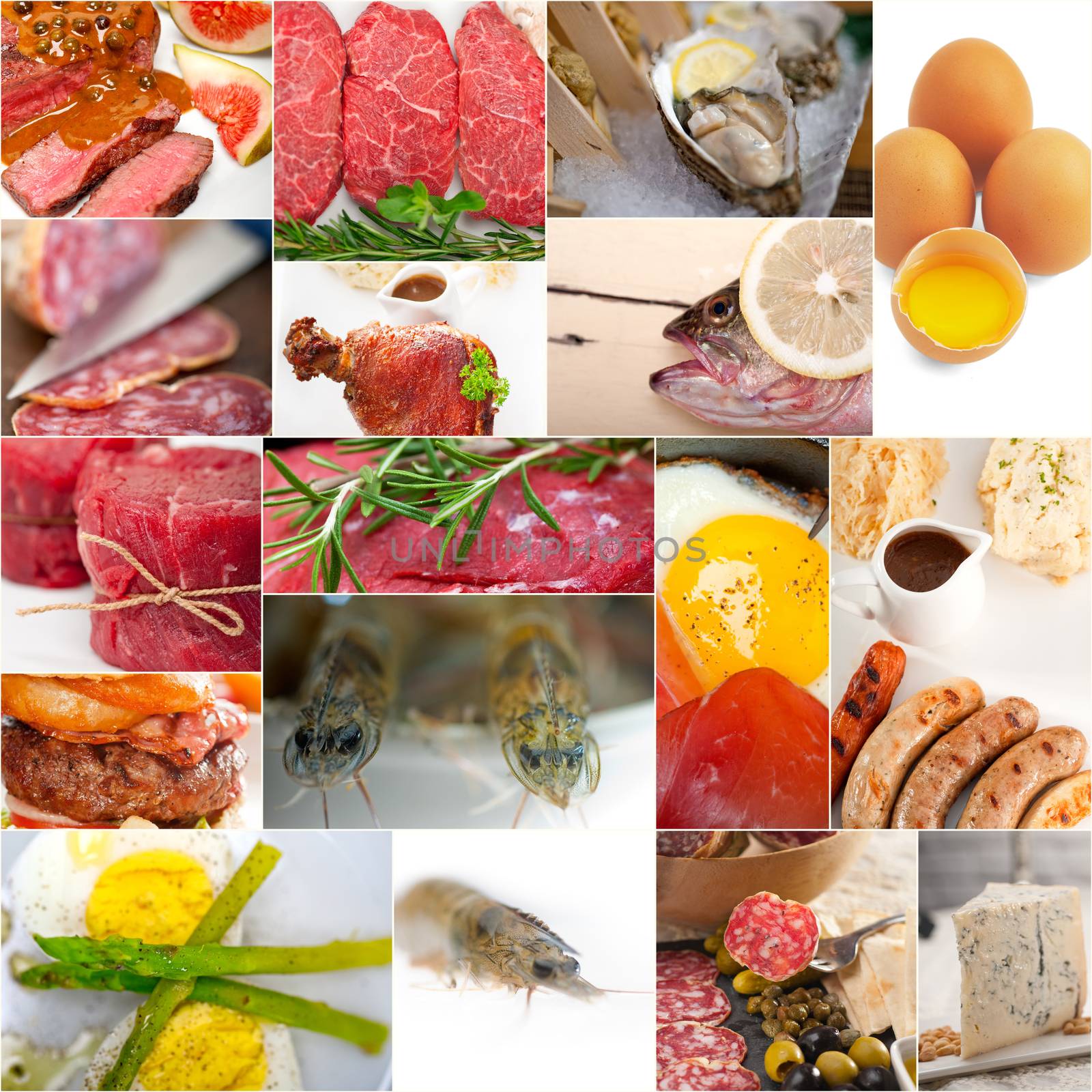 high protein food collection collage by keko64