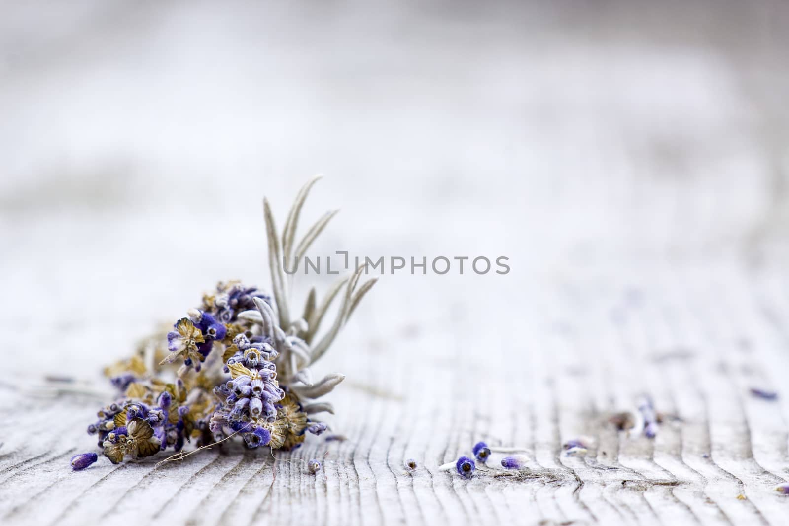 Bunch of dried lavender on old wooden background by miradrozdowski