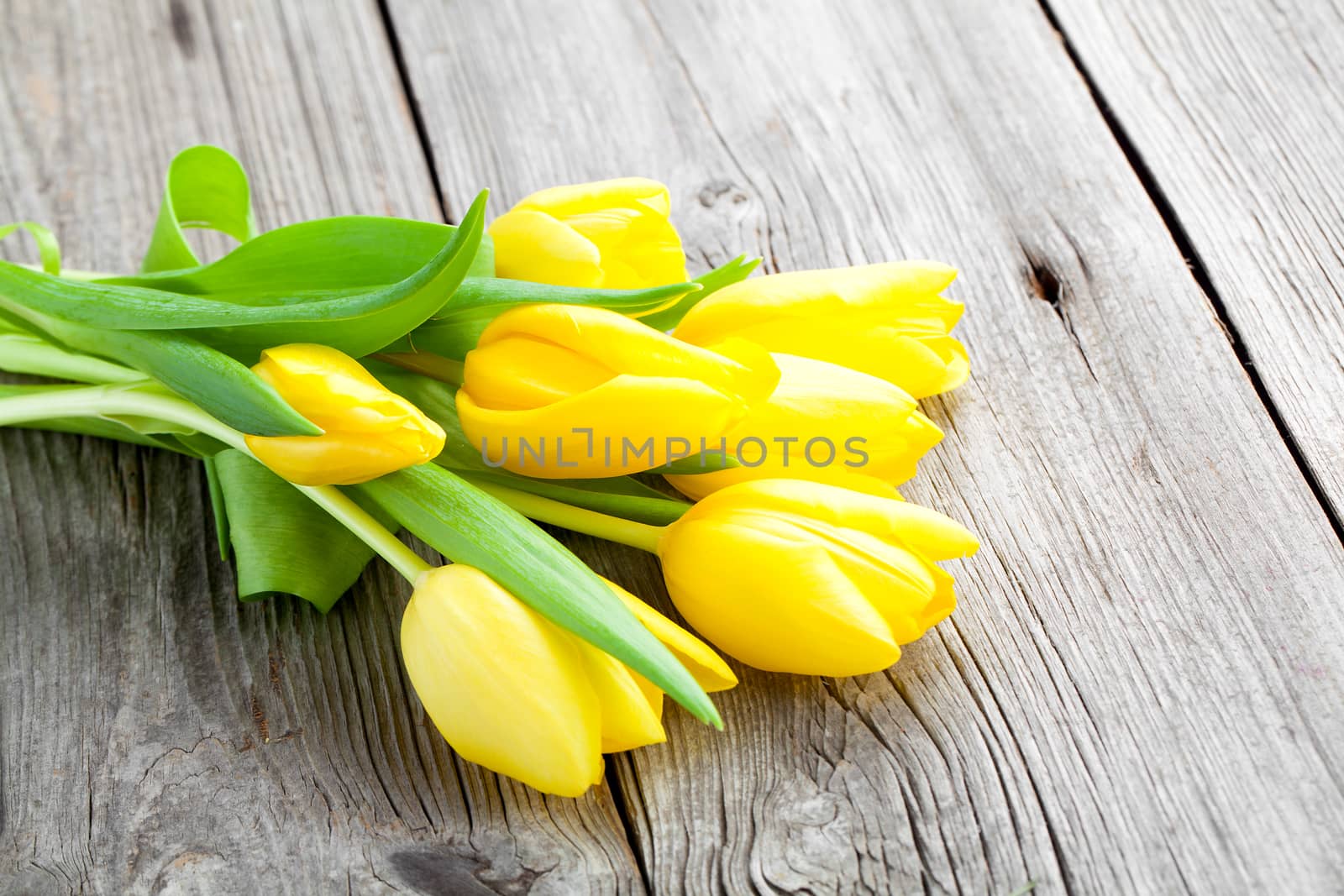 Bouquet of yellow tulips on old wooden boards