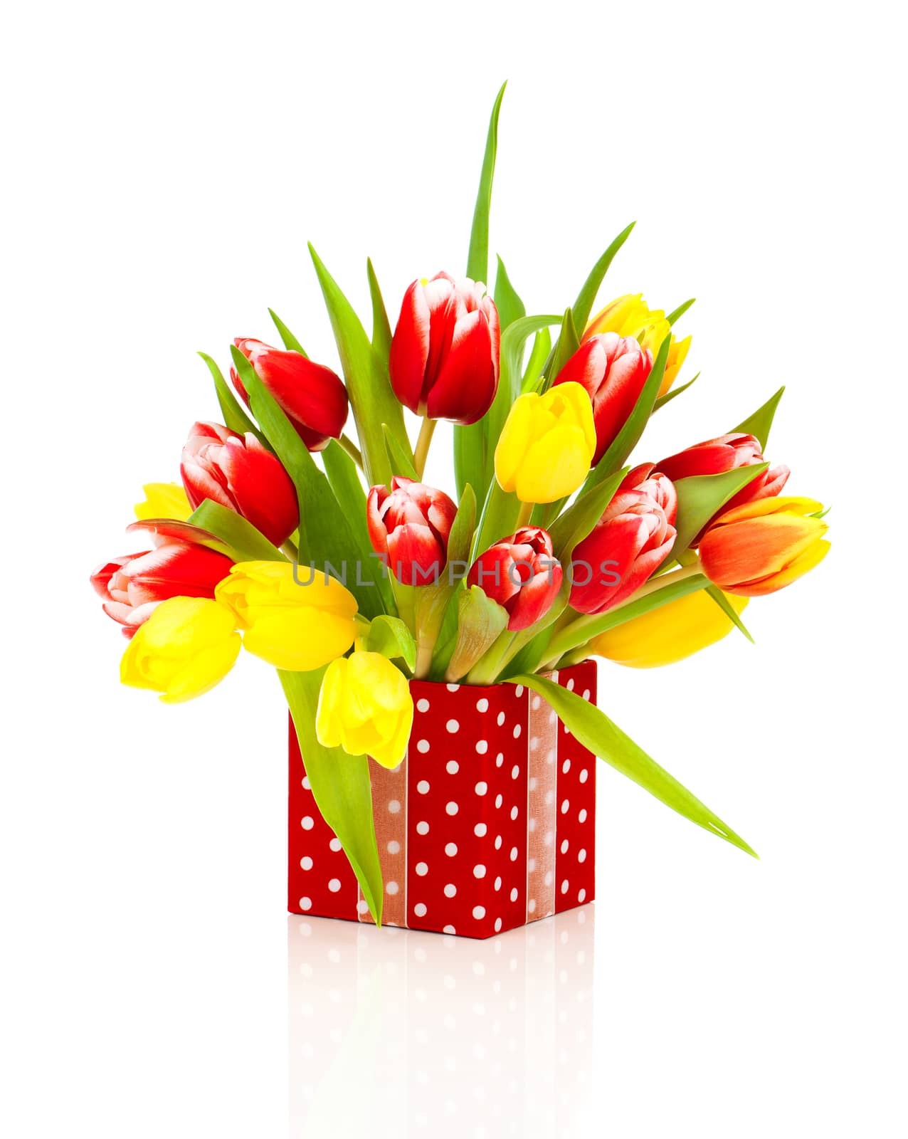 beautiful tulips in the red polka-dot gift box. happy mothers day, romantic still life, fresh flowers