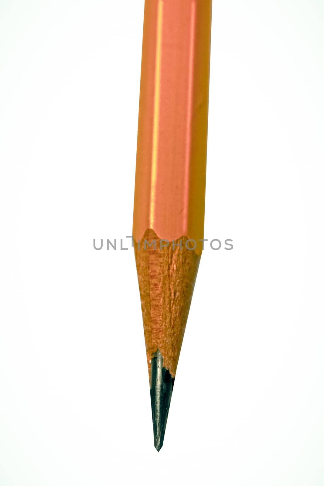 Recently sharpned yellow pencil