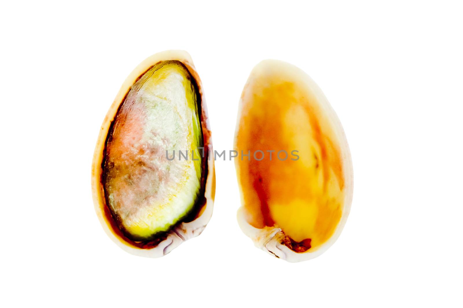 Roasted pistachio seed with shell by yands