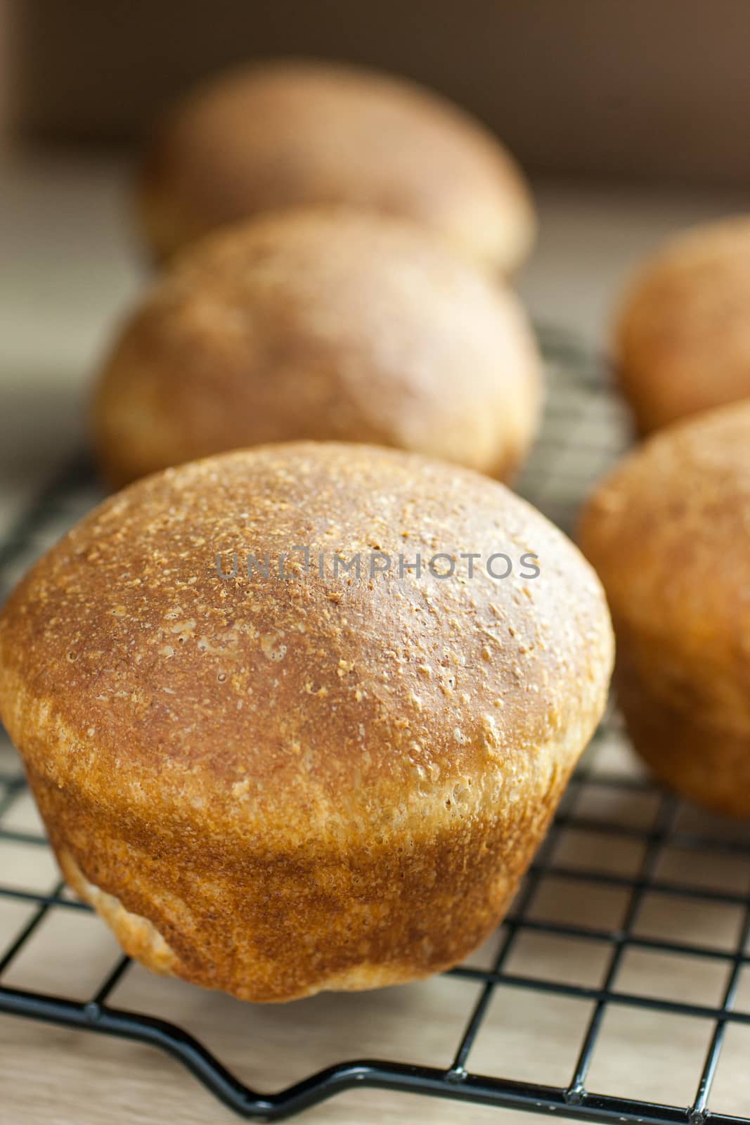 Whole wheat dinner rolls colling on a rack on a kitchen counter.