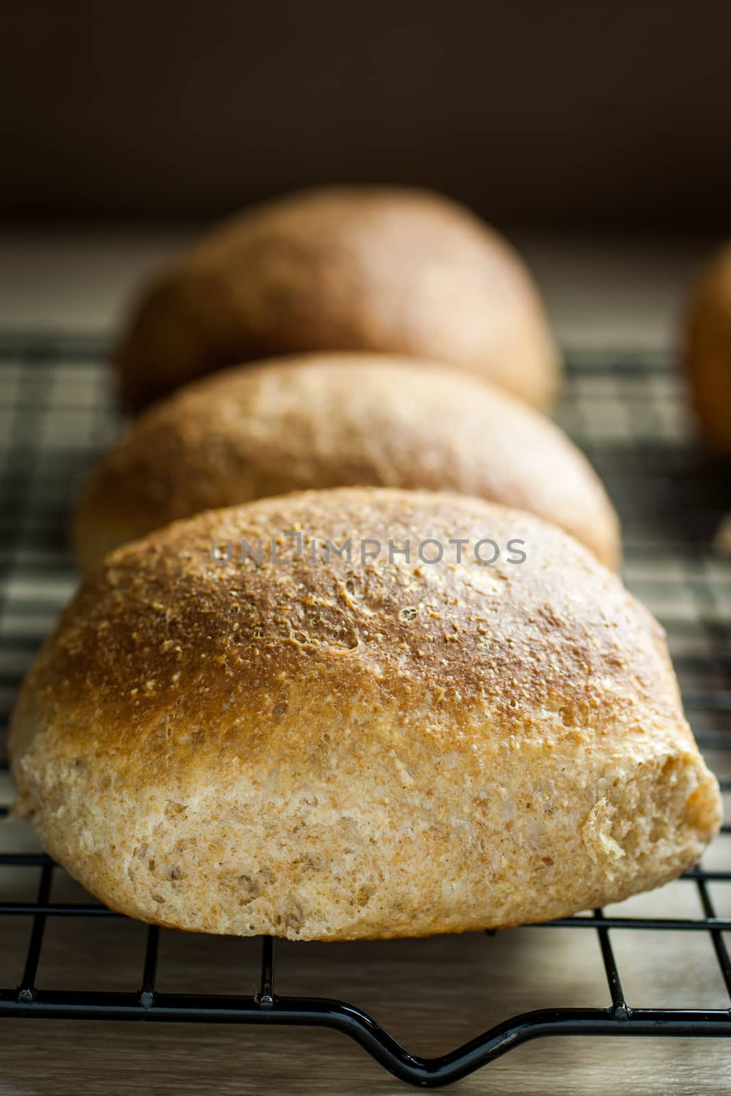 Whole wheat dinner rolls colling on a rack on a kitchen counter.