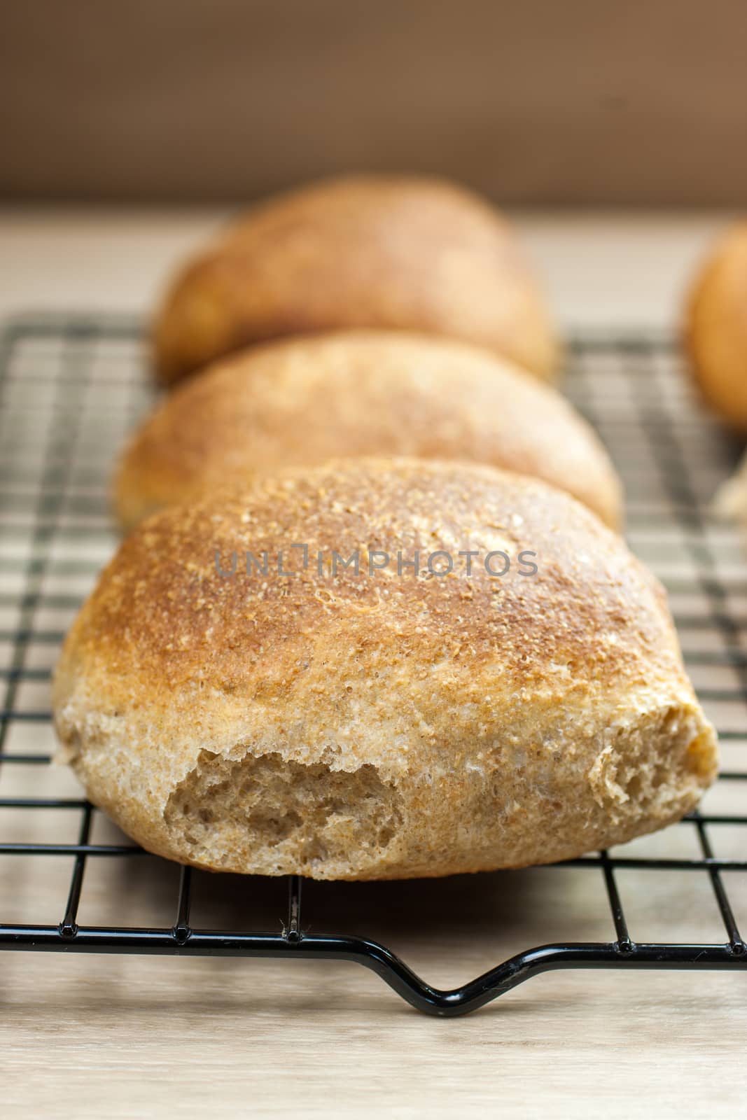 Whole wheat dinner rolls colling on a rack on a kitchen counter.