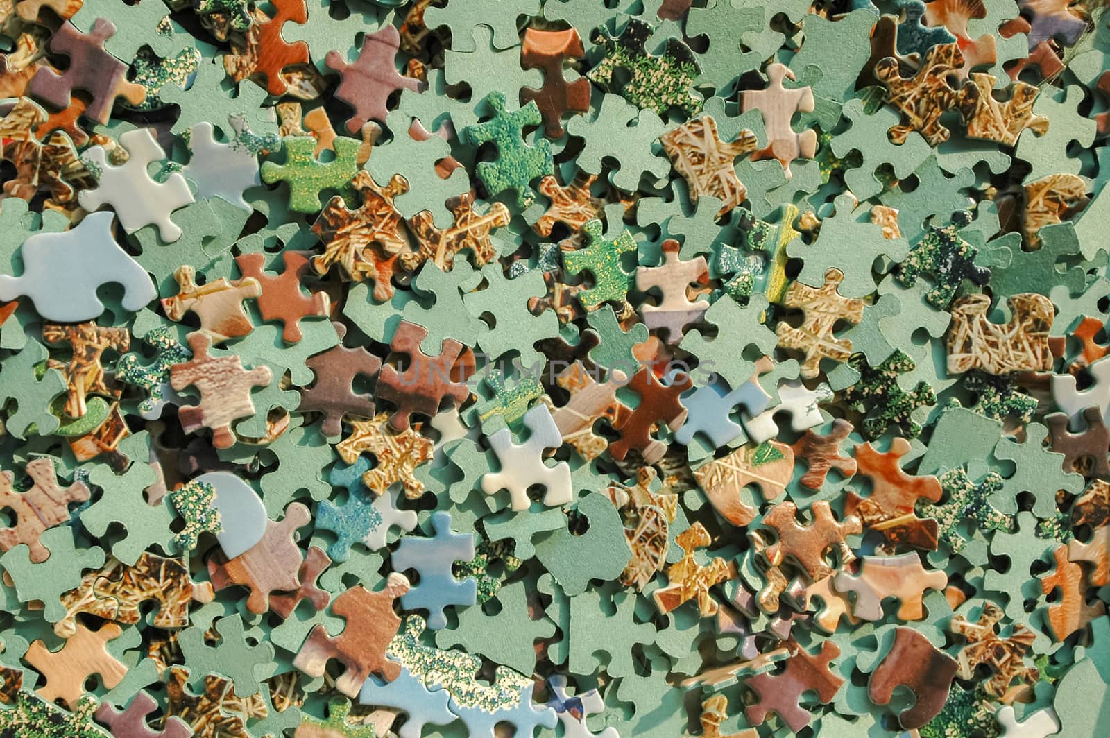 jigsaw pieces by nelsonart