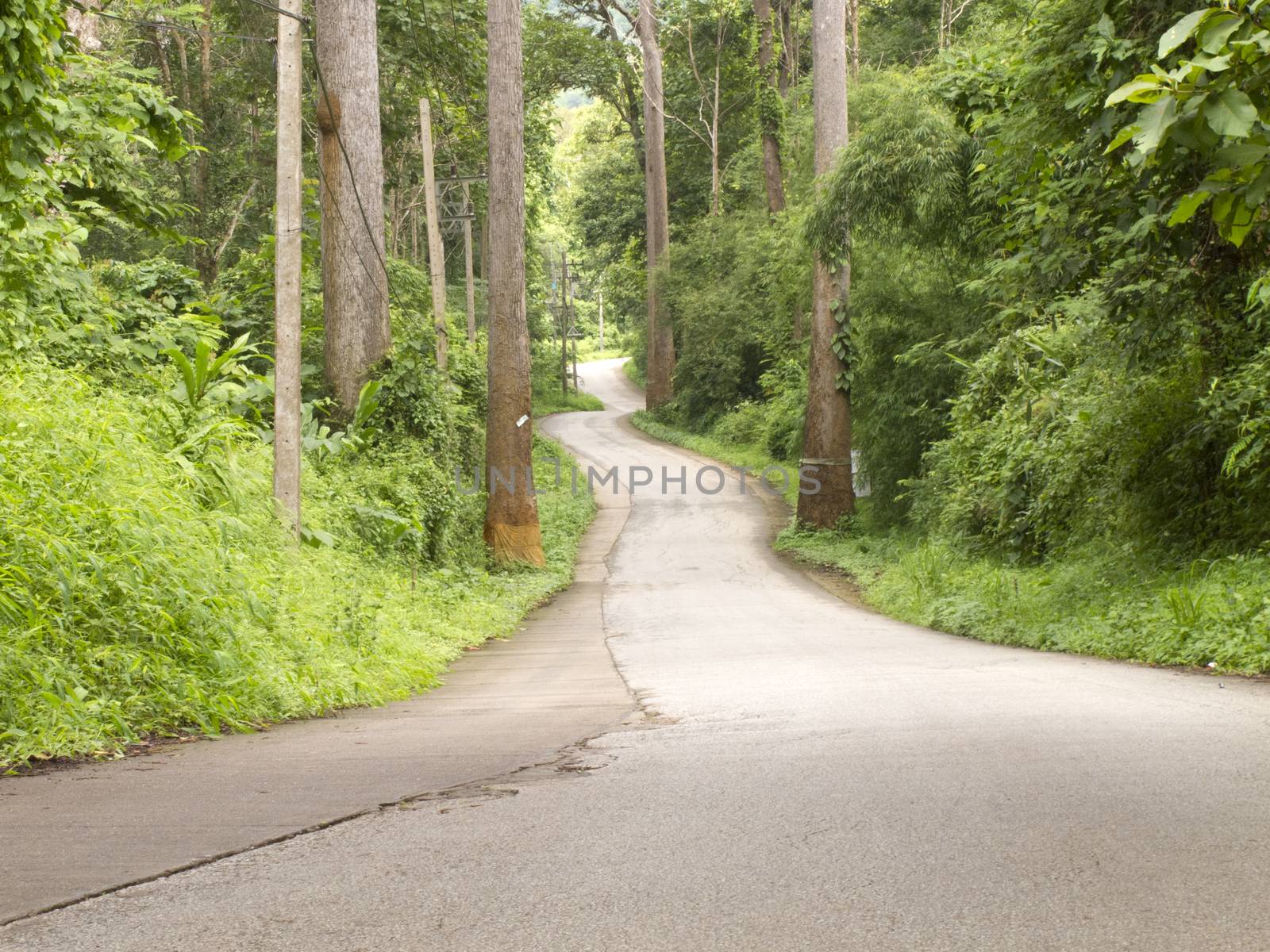 Curved road in forest on hill by iampuay