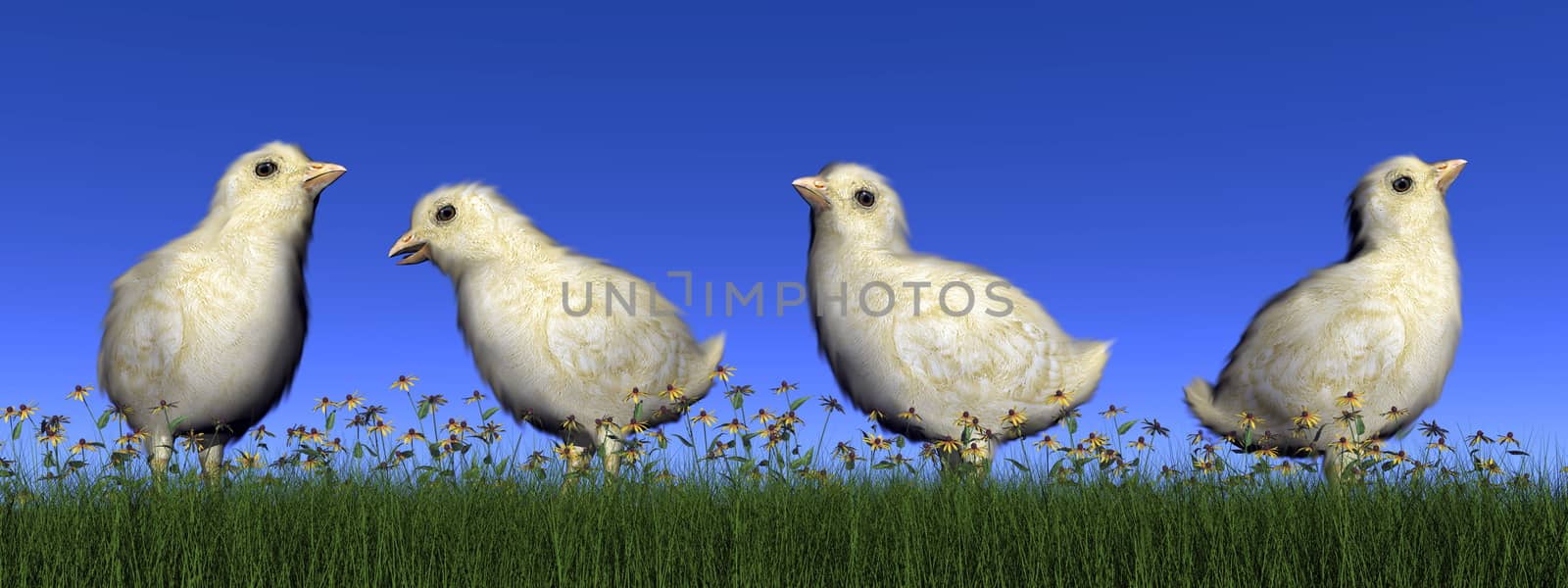 Four chicks in the grass with flowers by day - 3D render