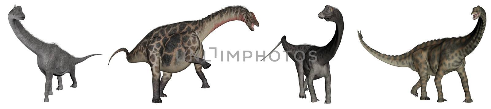 Jurassic sauropod dinosaurs : brachiosaurus, dicraeosaurus, diplodocus and spinophorosaurus - 3D render