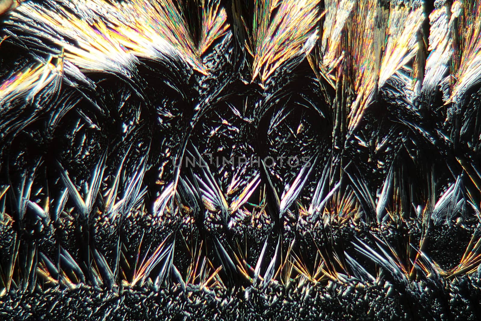 Coumarins are substances that can be found in many plants. They are used for perfume production and many other purposes. The photo is made with a polarization microscope.