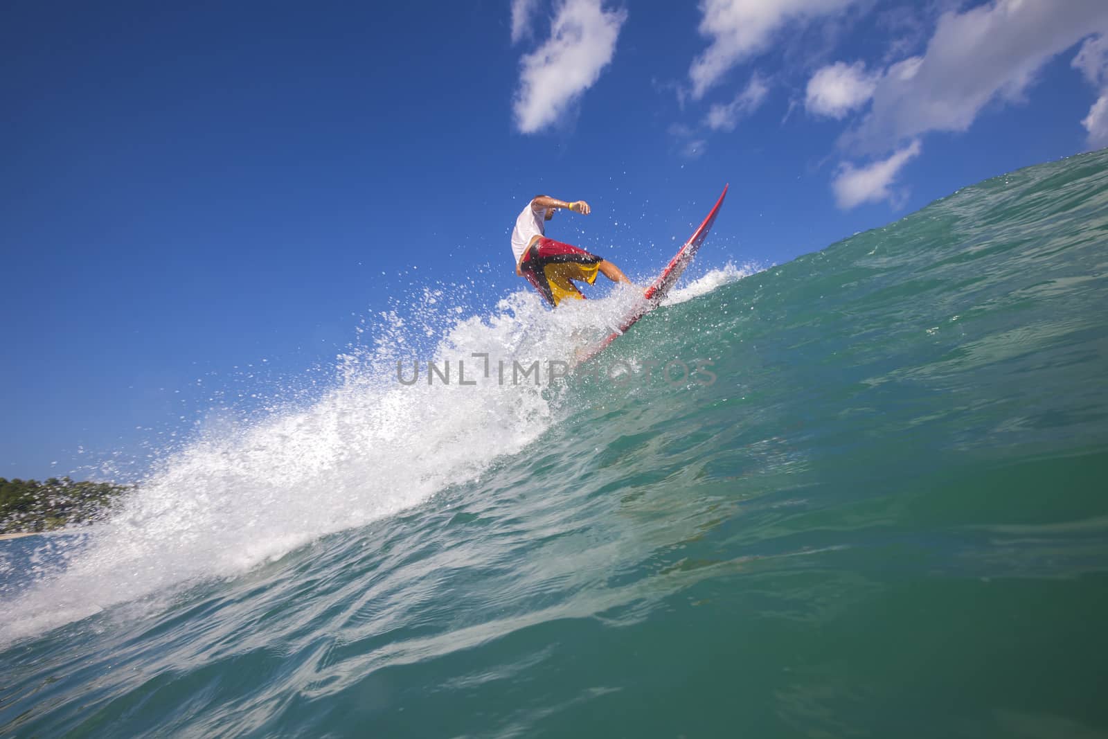 Surfer on Amazing Blue Wave, Bali island.