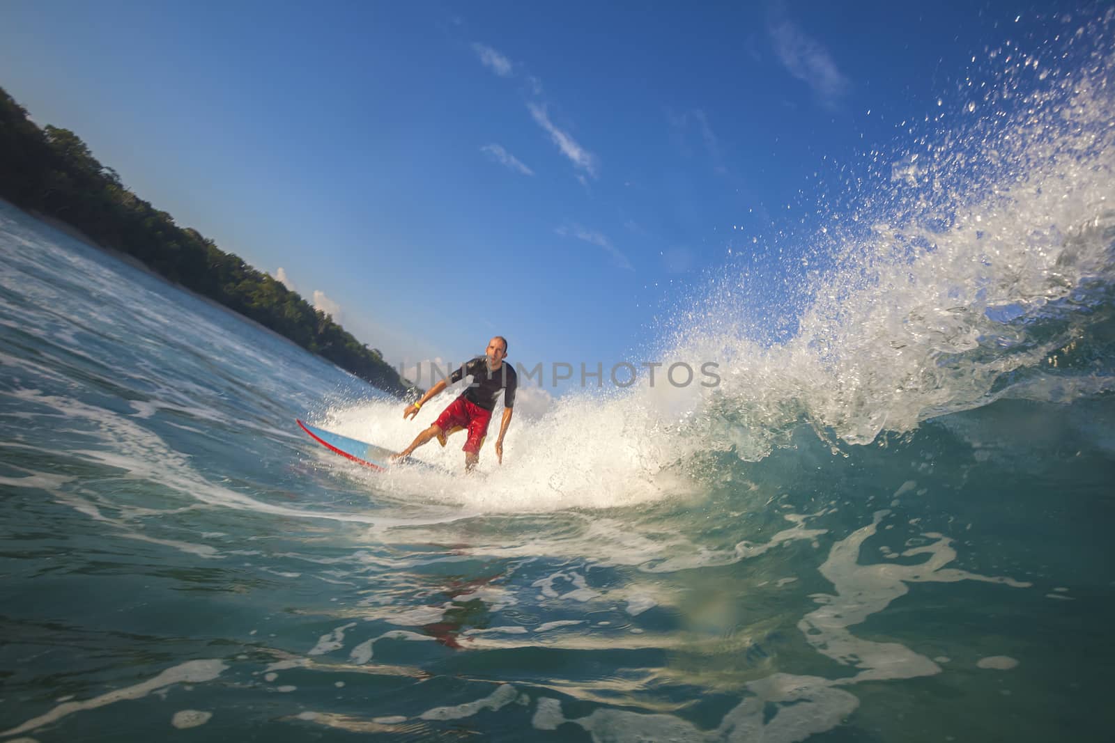 Surfer on Amazing Blue Wave, Bali island.