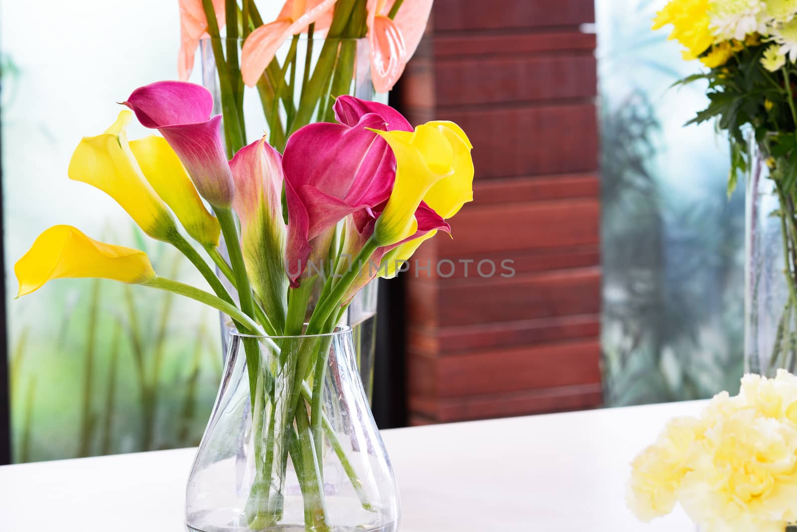 Beautiful calla lily flower in jar for decoration