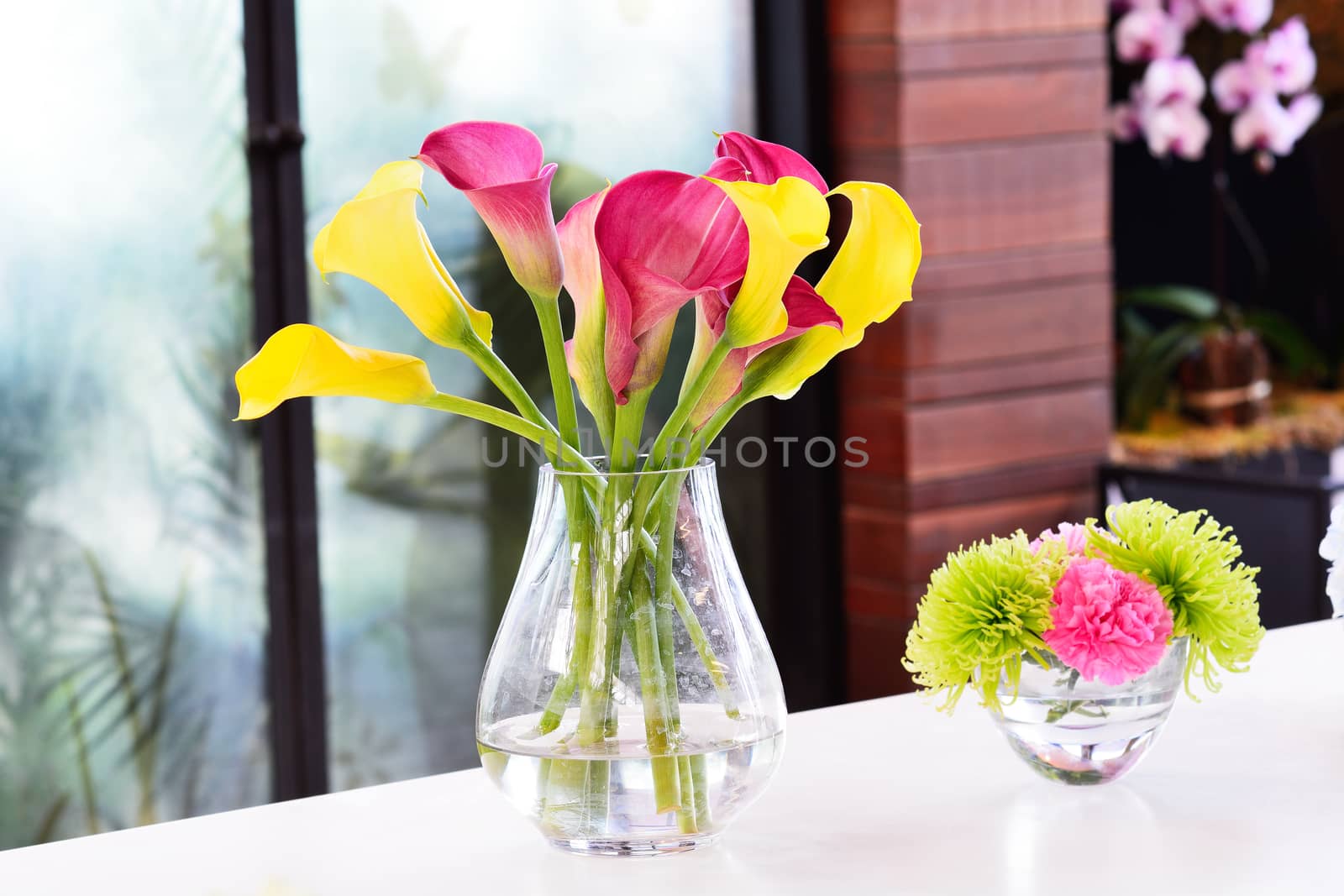 Beautiful calla lily flower in jar for decoration