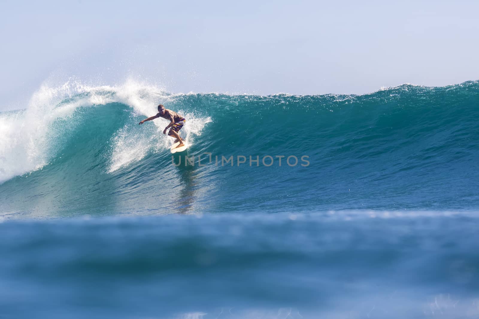 Surfer on Amazing Blue Wave, Bali island.