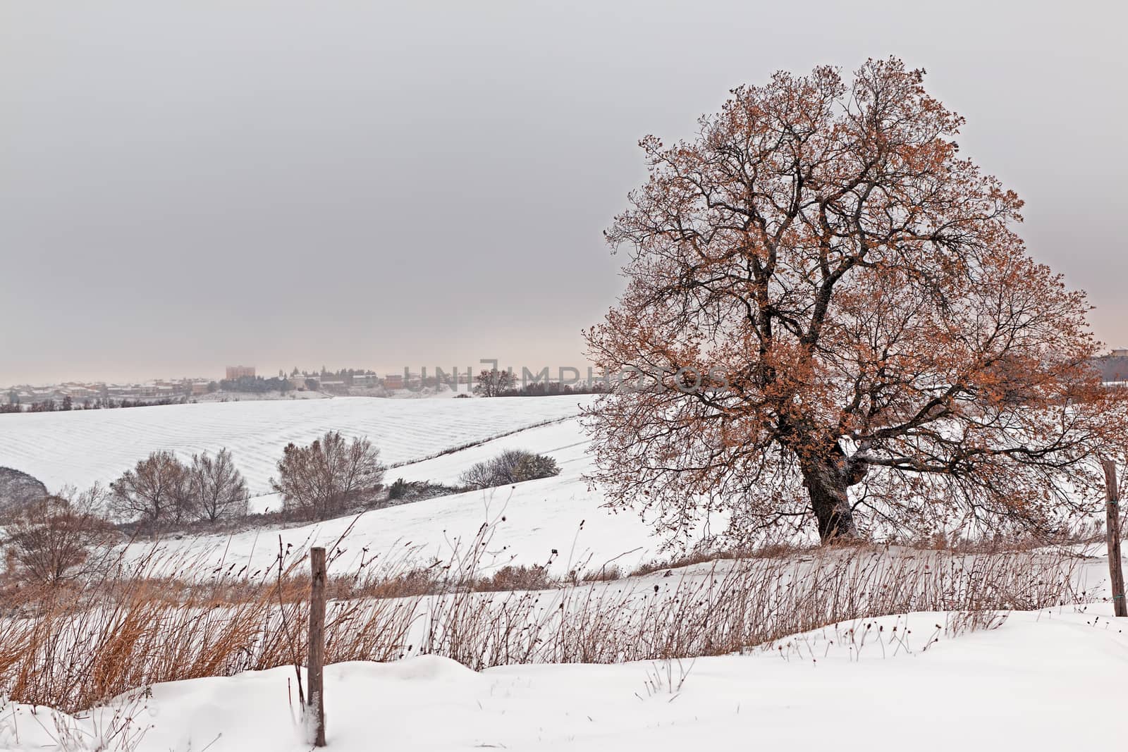 Italian snowy landscape by EnzoArt