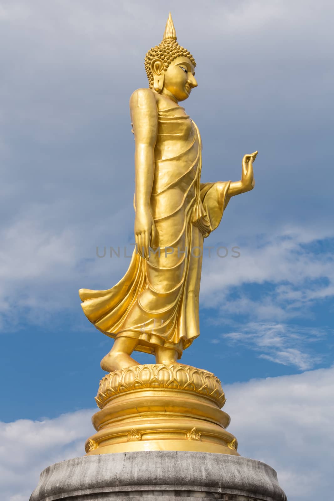 Standing Buddha Statue by yoshiki.maruko@gmail.com