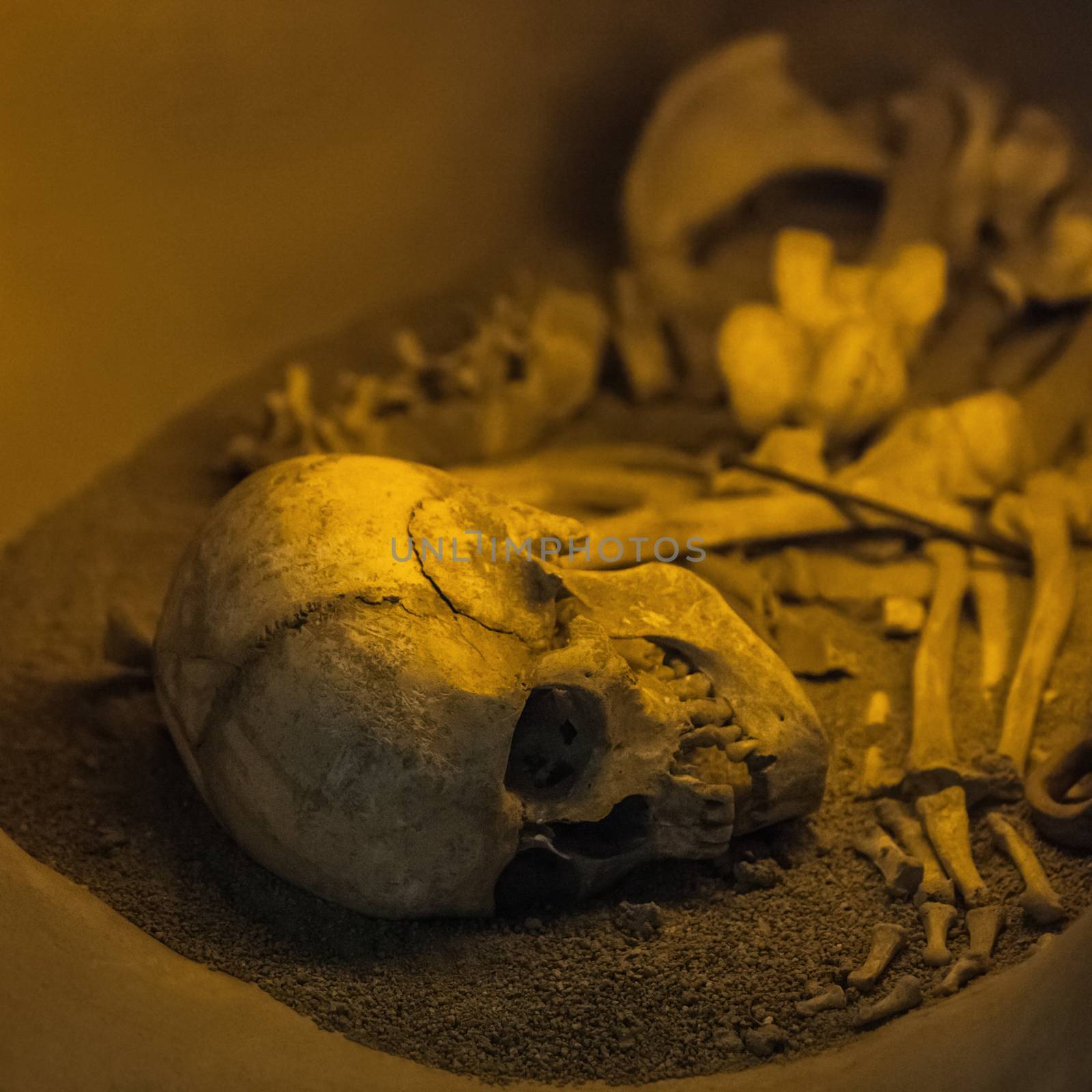 Ancient human skull bone and skeleton by ia_64