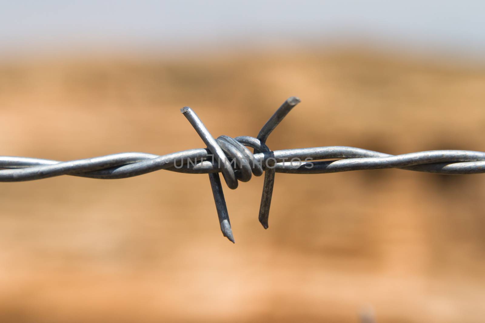 Close up to barbed wire fence on blurred background.