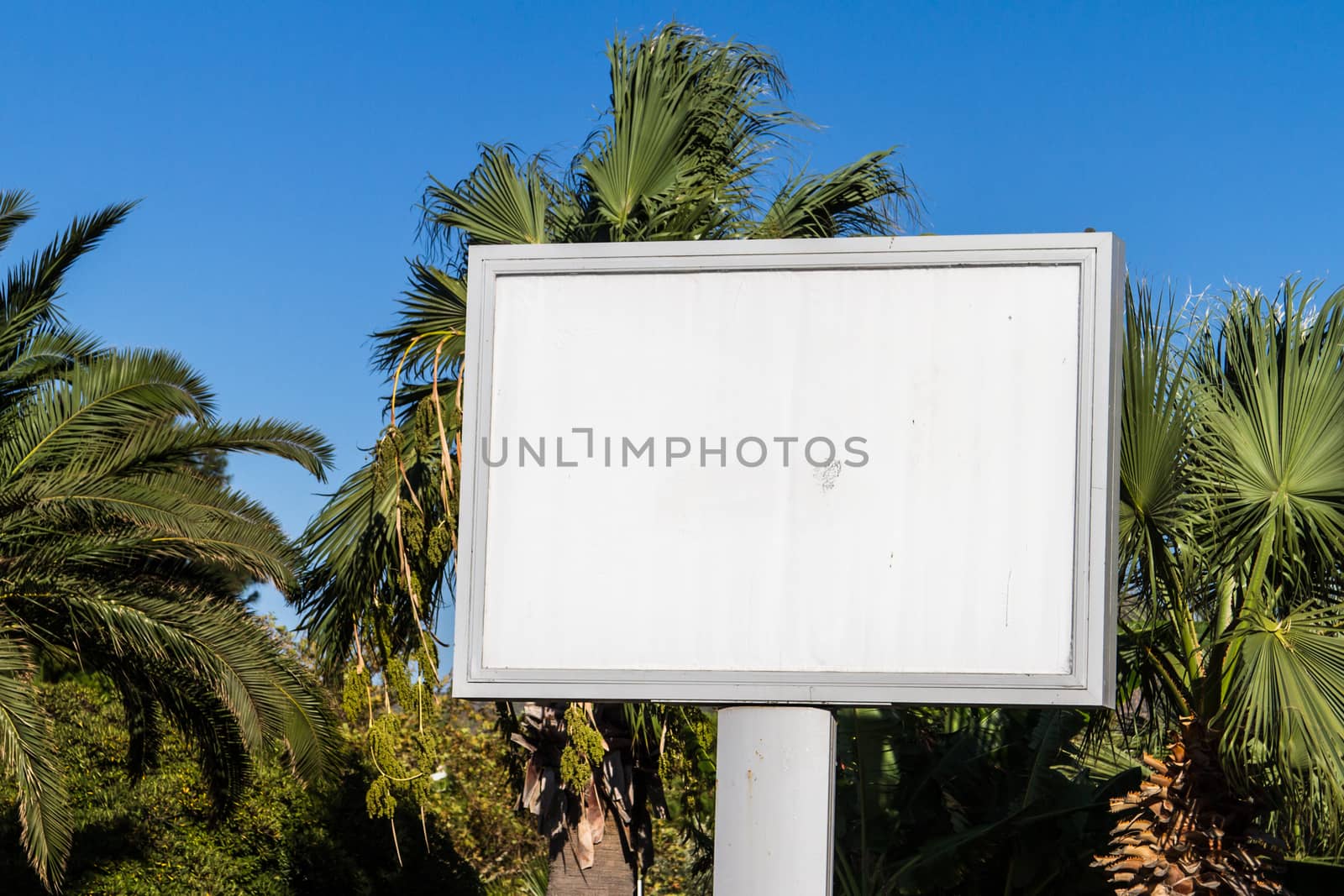 White, blank billboard front of green trees.