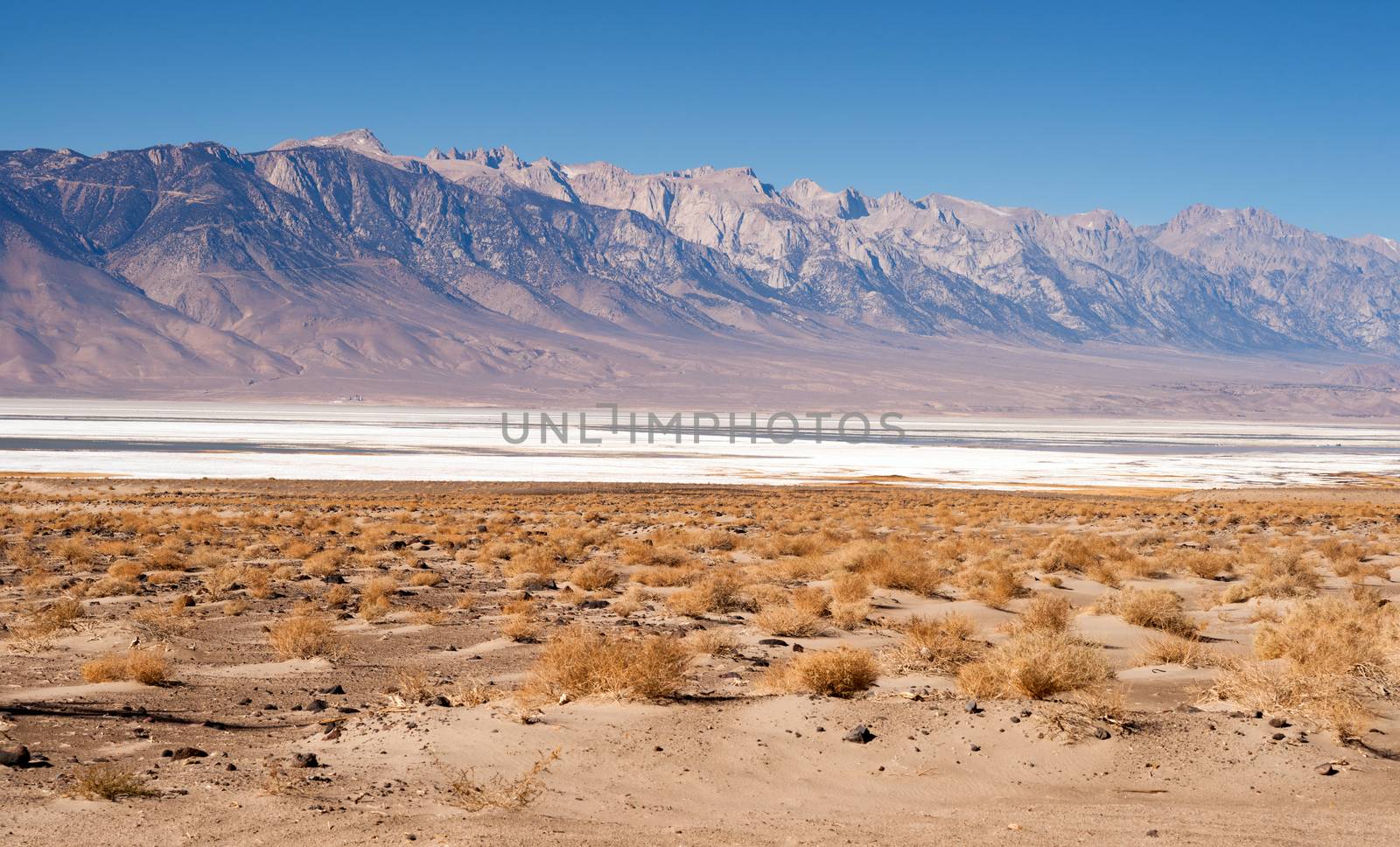 Sagebrush and nearly dry lake bed near highway 395 in Owen's Valley California