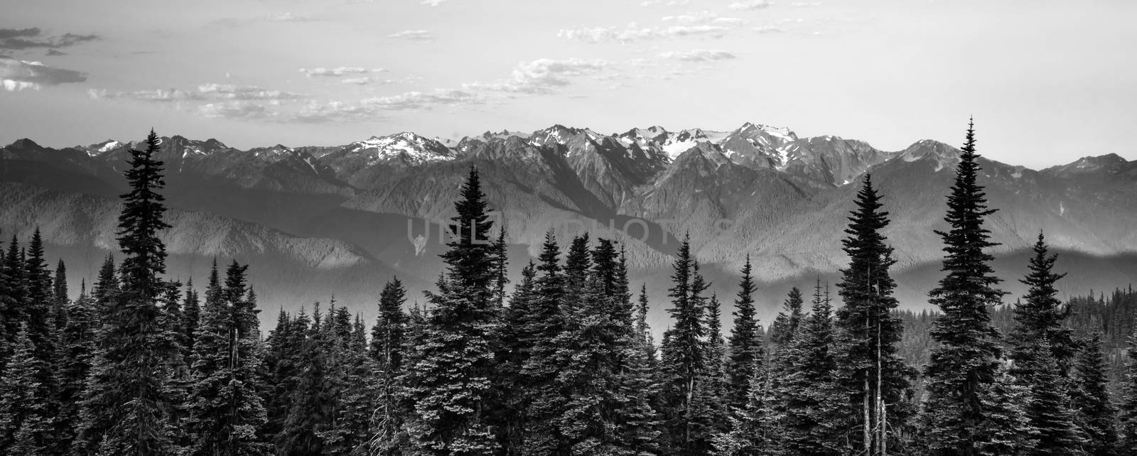 Early Morning Light Olympic Mountains Hurricane Ridge by ChrisBoswell