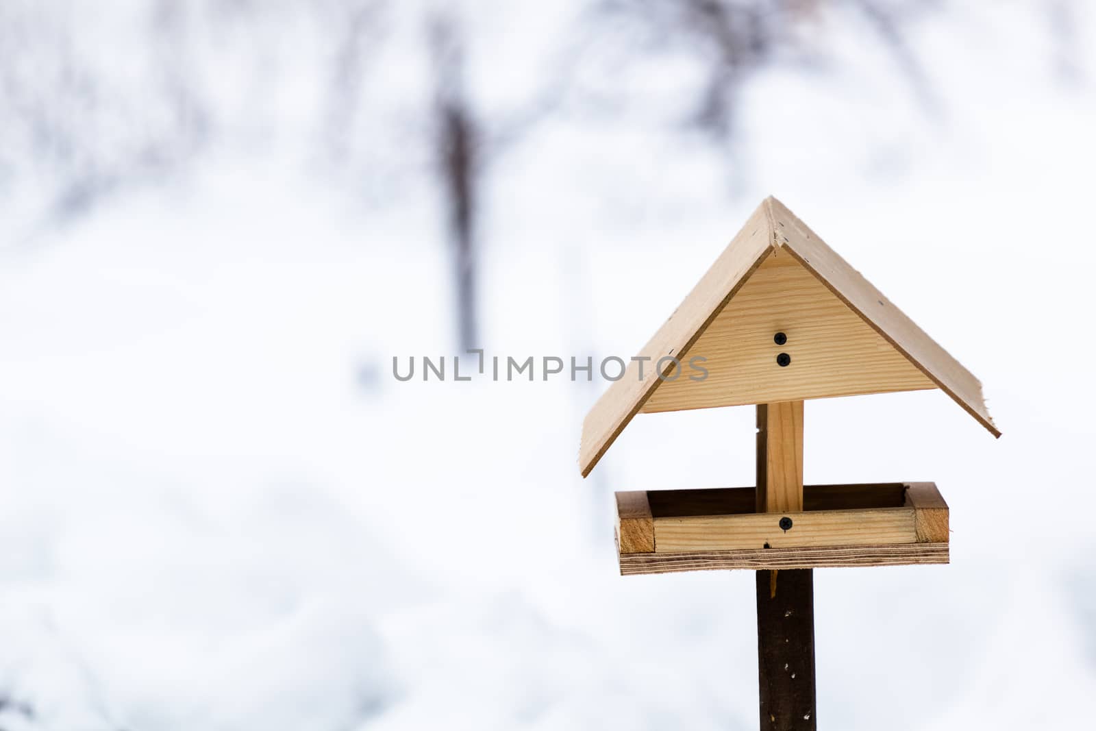 Winter bird feeders made of wood person