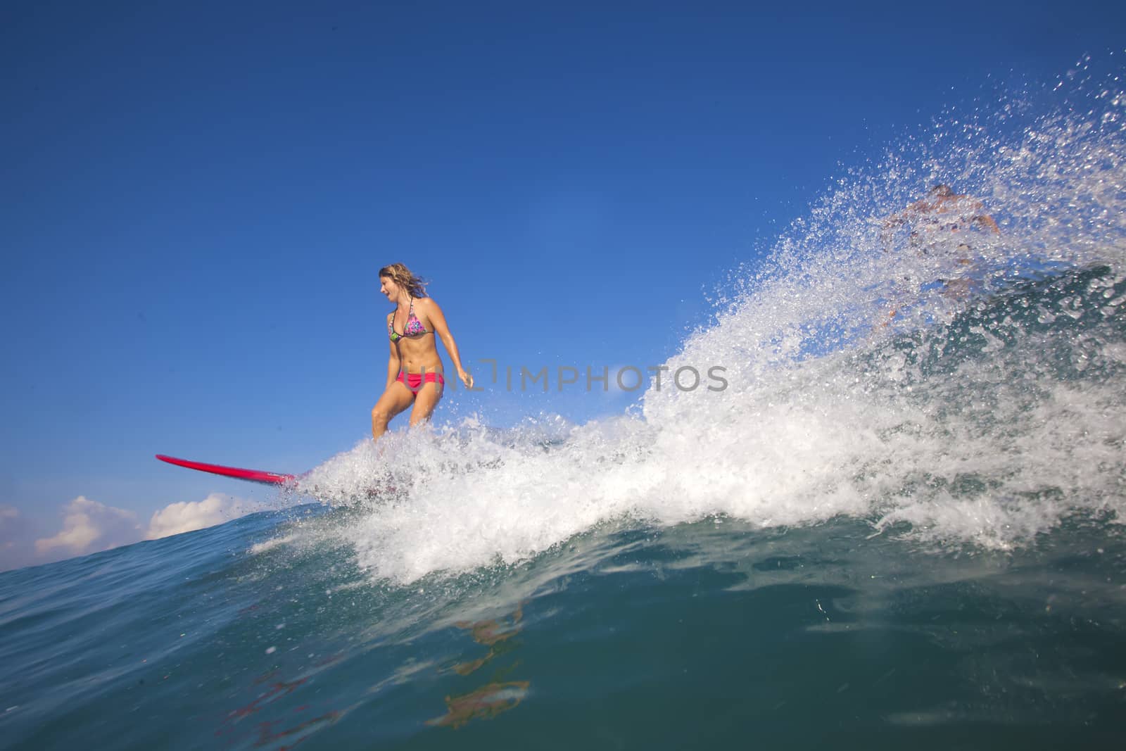 Surfer girl on Amazing Blue Wave, Bali island.