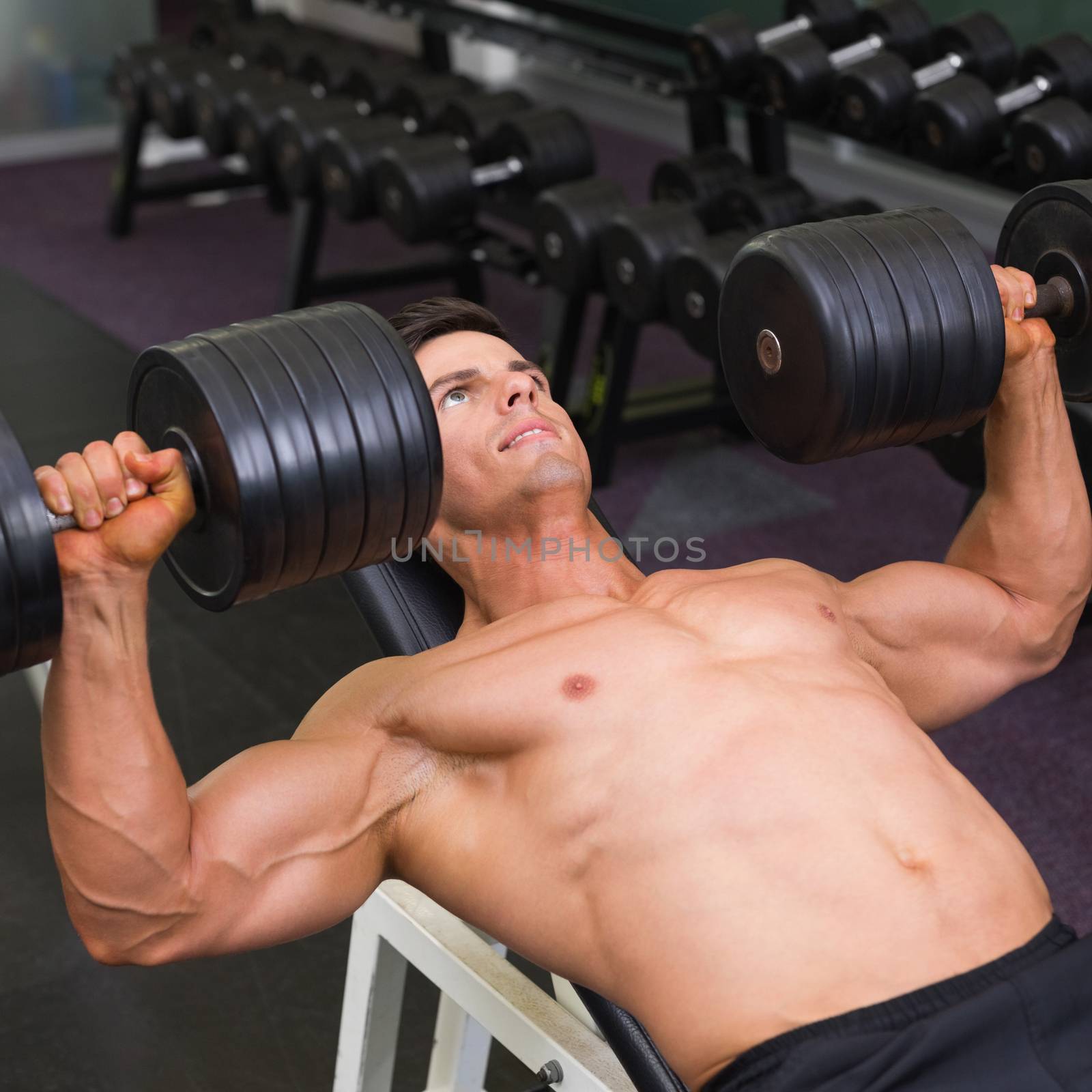 Close-up of a young muscular man exercising with dumbbells in gym