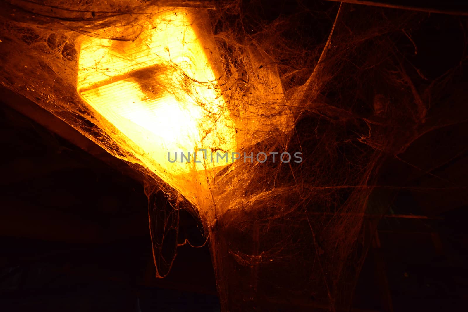 A dark background with a yellow industrial light covered completely in a disorganized spiderweb.