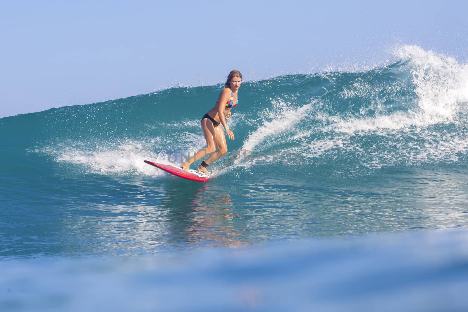 Surfer girl on Amazing Blue Wave, Bali island.