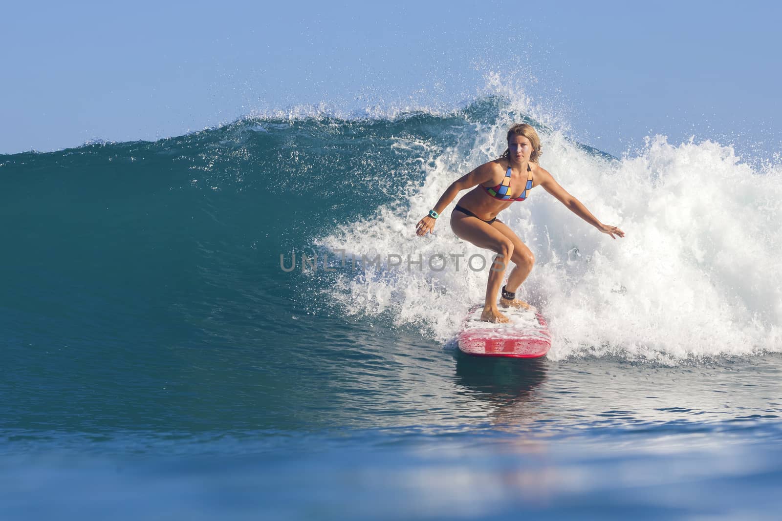 Surfer girl on Amazing Blue Wave, Bali island.