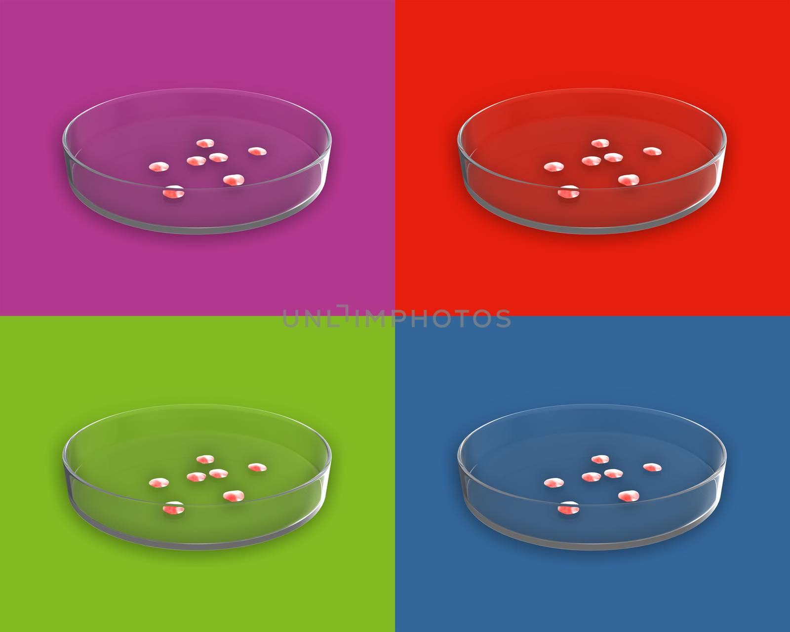 Set of Close up Glass Petri Dish with bacteria on color backgrounds