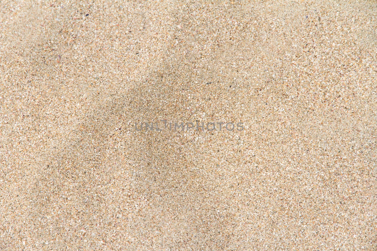 Top view of sandy beach textured background.