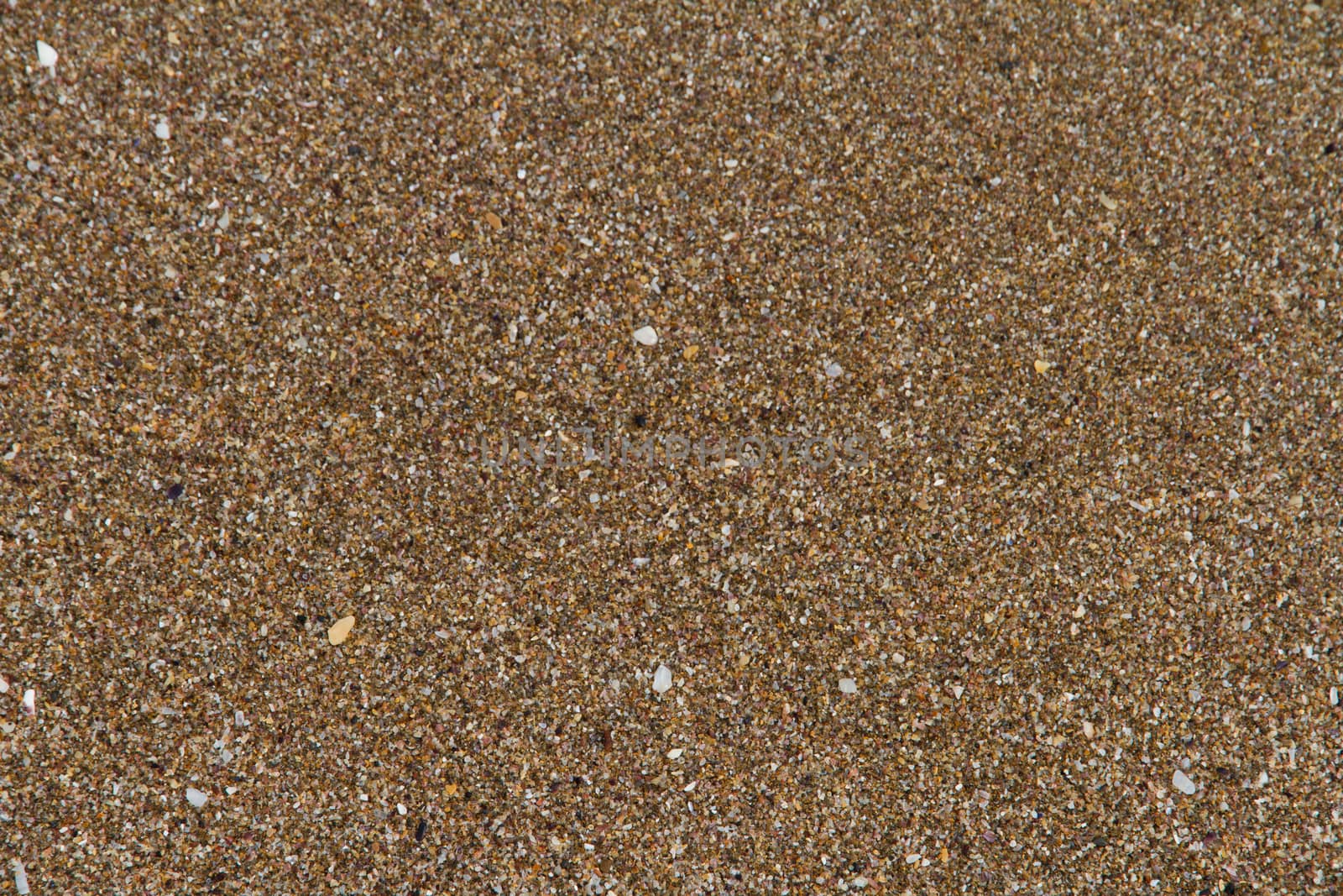 Top view of sandy beach textured background.