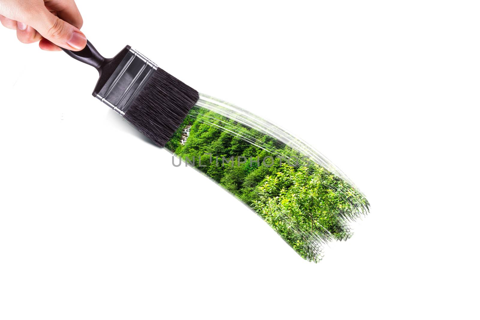 Male hand holding paint brush and painting landscape of green forest with trees, isolated on white background.